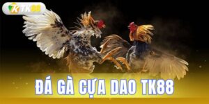 đá gà cựa dao