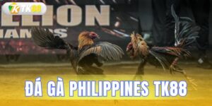 đá gà philippines