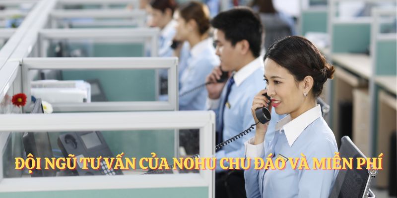 Đội ngũ tư vấn của NOHU chu đáo và miễn phí