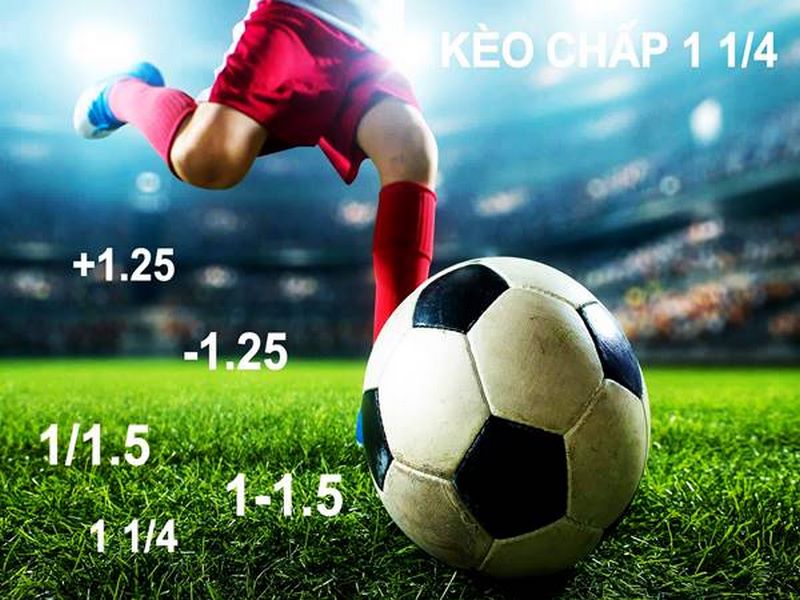 Cách chơi cá độ bóng đá online