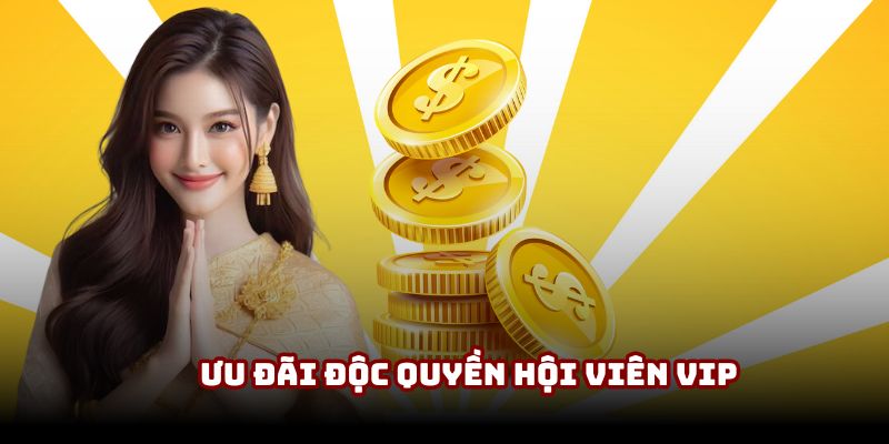 Hệ thống ưu đãi đa dạng thiết kế dành cho hội viên VIP